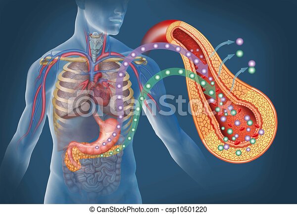 Dépistage du diabète